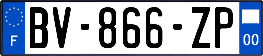 BV-866-ZP