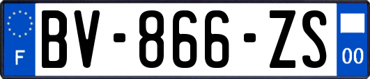 BV-866-ZS