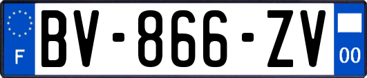 BV-866-ZV