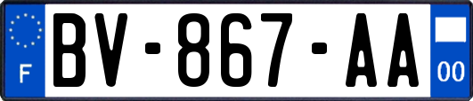 BV-867-AA