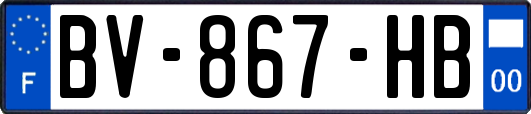 BV-867-HB