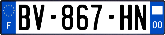 BV-867-HN