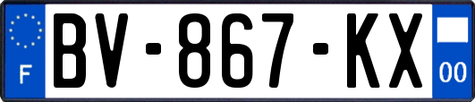 BV-867-KX