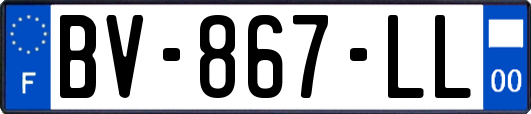 BV-867-LL
