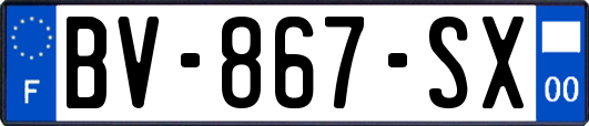 BV-867-SX