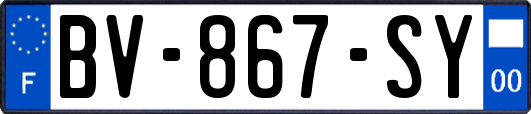 BV-867-SY