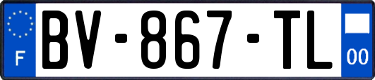 BV-867-TL