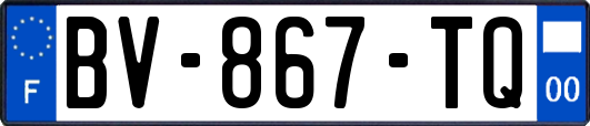 BV-867-TQ