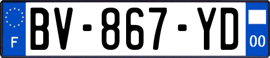 BV-867-YD