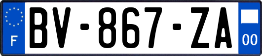 BV-867-ZA