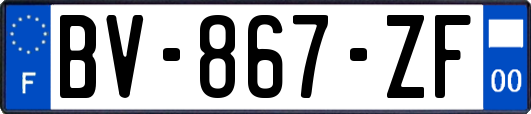 BV-867-ZF