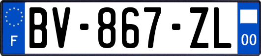 BV-867-ZL