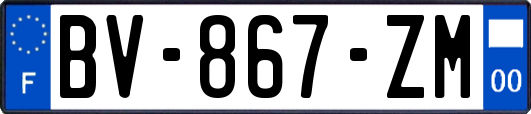 BV-867-ZM