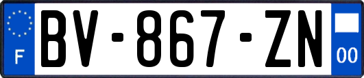 BV-867-ZN