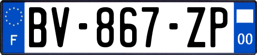 BV-867-ZP