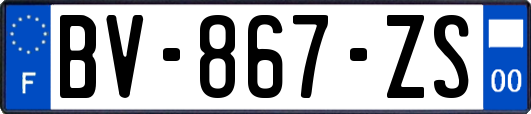 BV-867-ZS