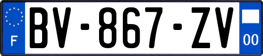 BV-867-ZV