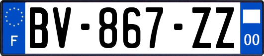 BV-867-ZZ