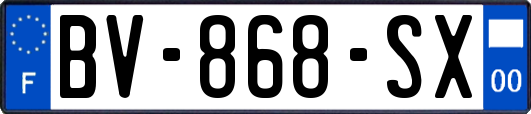 BV-868-SX