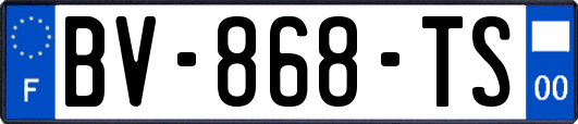 BV-868-TS