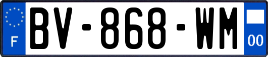 BV-868-WM