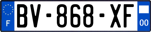 BV-868-XF