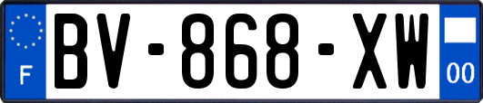 BV-868-XW