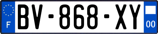 BV-868-XY