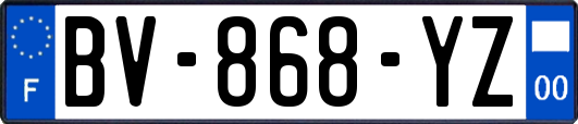 BV-868-YZ