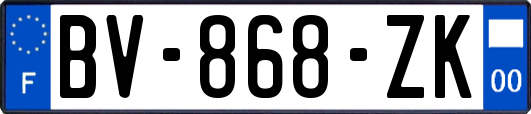 BV-868-ZK