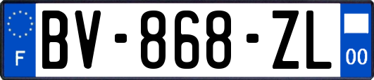 BV-868-ZL