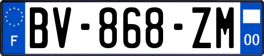 BV-868-ZM