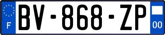 BV-868-ZP