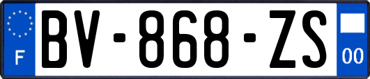 BV-868-ZS