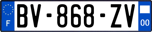 BV-868-ZV