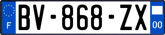 BV-868-ZX