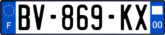 BV-869-KX