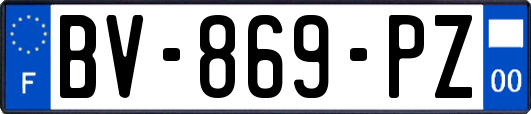 BV-869-PZ