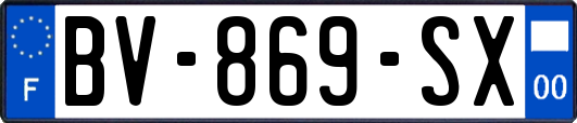 BV-869-SX