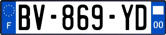 BV-869-YD