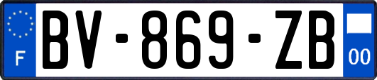 BV-869-ZB