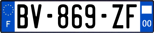 BV-869-ZF