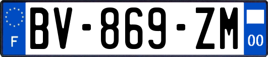 BV-869-ZM