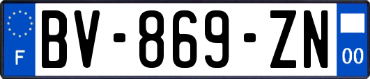 BV-869-ZN