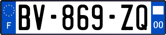 BV-869-ZQ