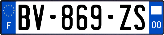 BV-869-ZS