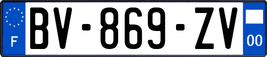 BV-869-ZV