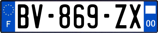 BV-869-ZX