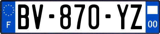 BV-870-YZ