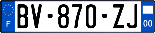 BV-870-ZJ